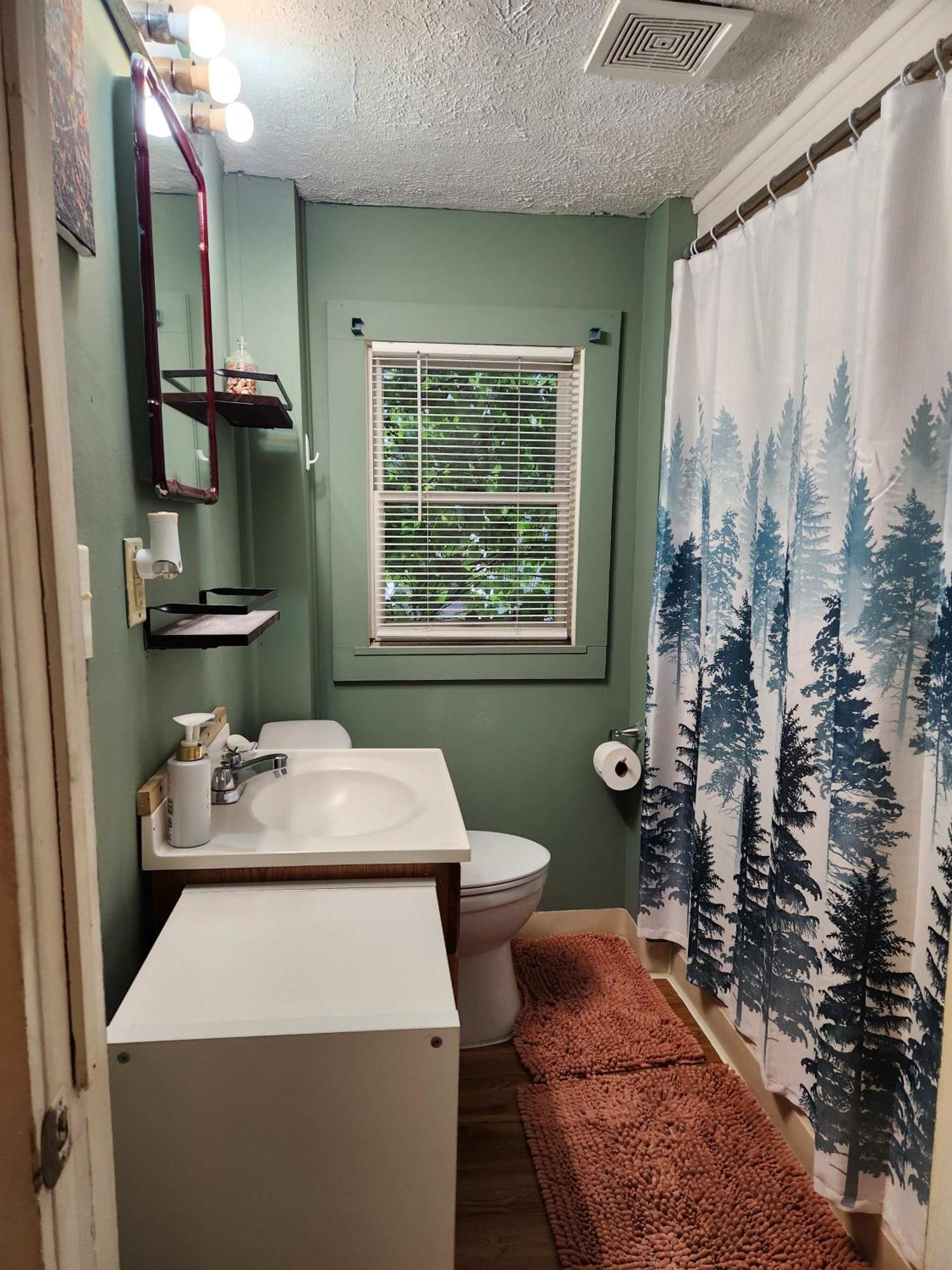 Cozy 3 Bedroom House In Downtown Ithaca Esterno foto